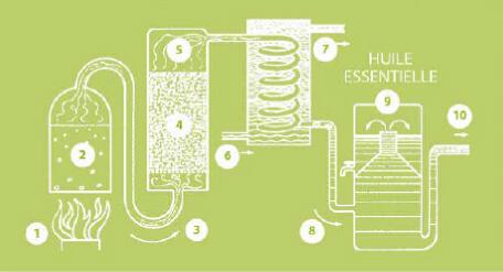 精油蒸馏萃取图解