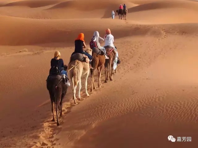 [摩洛哥芳香之旅]-在撒哈拉和摩洛哥说再见！