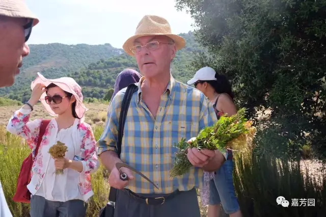 [科西嘉芳香之旅]-法兰贡大师，带你探秘科西嘉